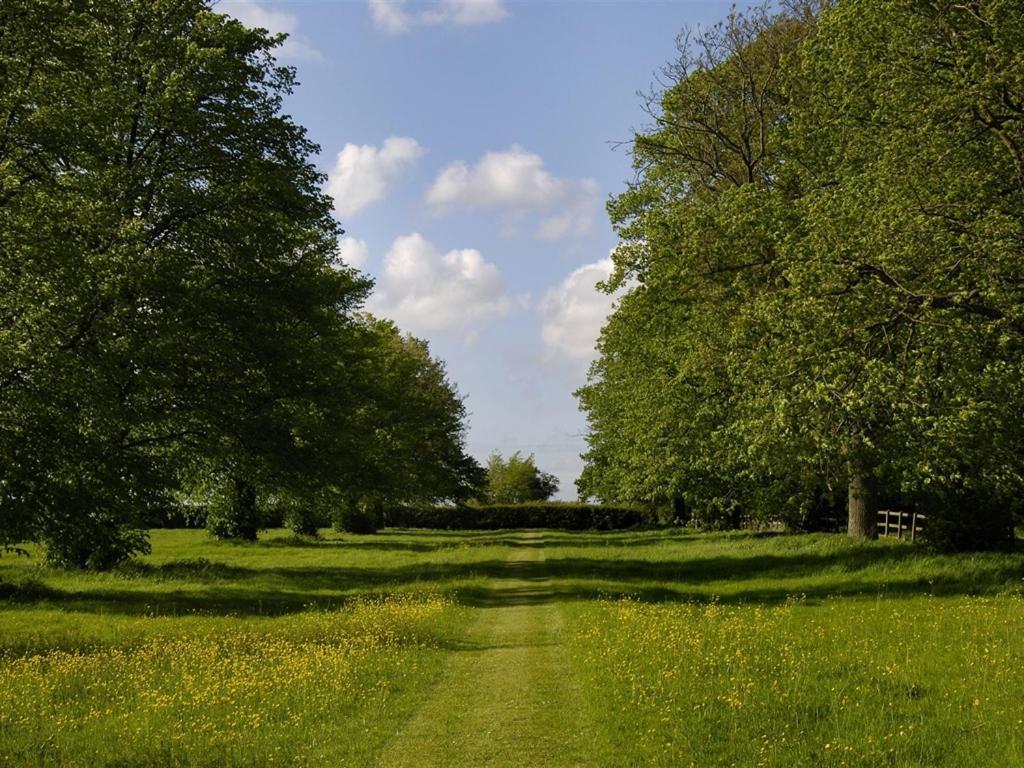 Bed and Breakfast Ollivers Farm Great Yeldham Exterior foto